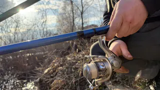 За карася — 500 рублей, за сома — 30 тысяч: рыбакам рассказали, почему теперь даже мелкий улов будут сурово штрафовать