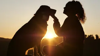 Животный инстинкт: удивительные история спасения людей домашними питомцами