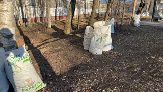 Коми показывает рост волонтерского движения