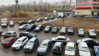 В Рязанской области водитель Toyota провел под стражей три дня за тонировку