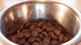 «Не вздумайте брать». В премиальном корме для животных обнаружен опасный яд