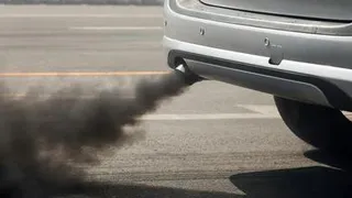 Выхлопные газы автомобилей влияют на работу мозга