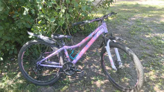 Во Владимирской области все чаще стали пропадать велосипеды