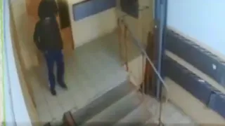 Три вандала "повеселились" в рязанском подъезде: видео