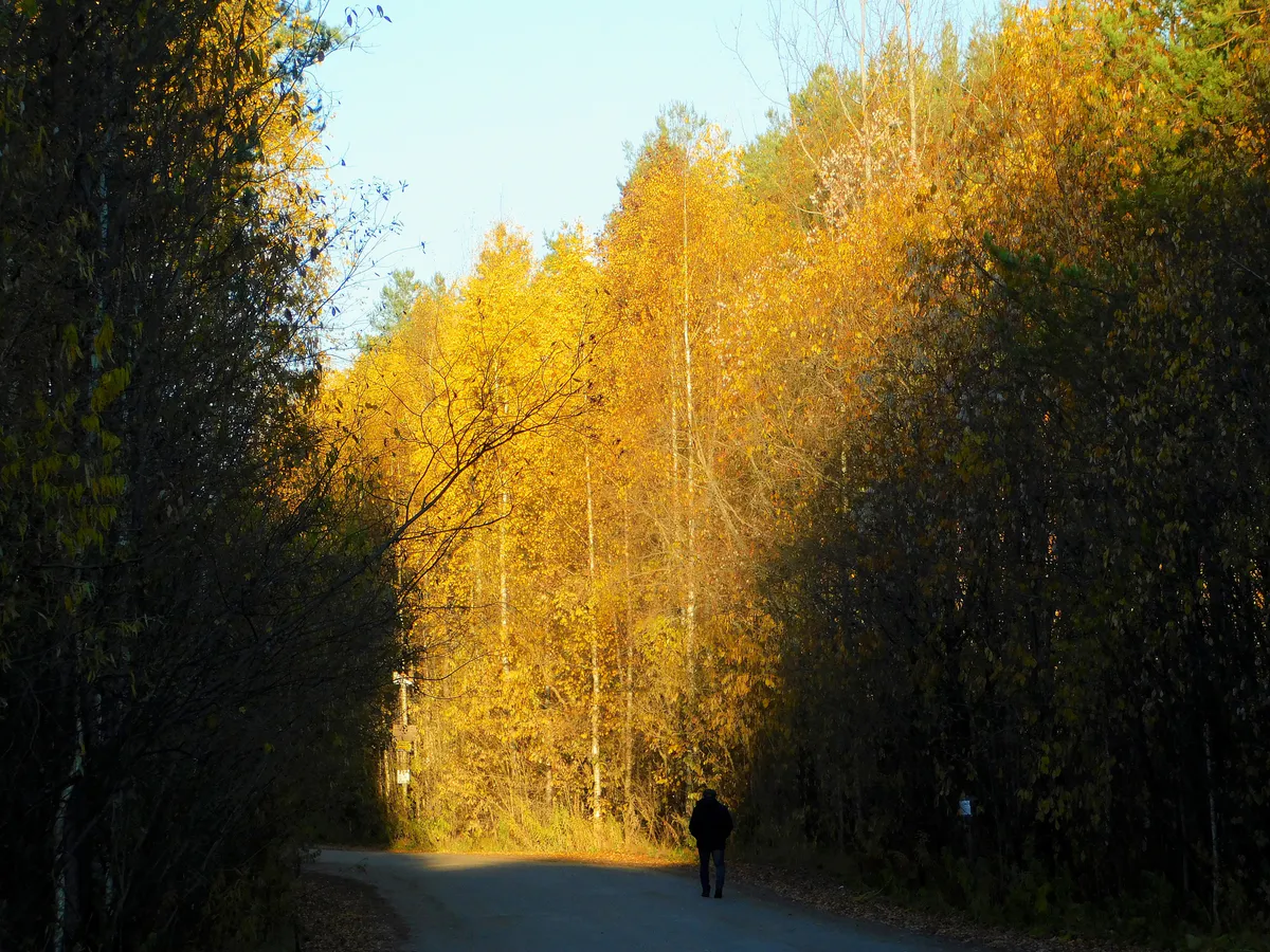 26 октября жителей Челябинской области ждет солнечная погода