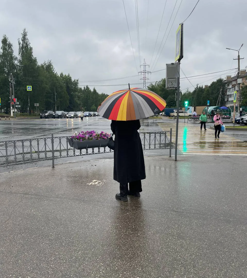 Осень нагрянет нежданно: аномальное похолодание накроет уже на этой неделе