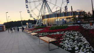 Сухая погода и до +21 градуса ожидаются в Чебоксарах 19 августа