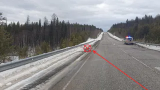 В Коми водитель пострадала, протаранив ограждение на трассе