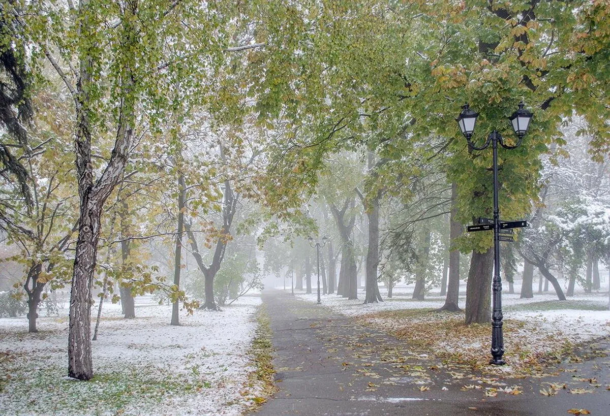 Синоптики получили новые данные: где ухудшится погода в ближайшие дни