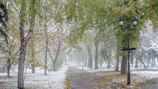 Синоптики получили новые данные: где ухудшится погода в ближайшие дни