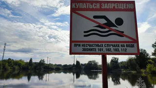 Еще один мужчина утонул на пруду в Удмуртии