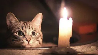 В Рязани 13 июня отключили электричество по 7 адресам из-за аварийных работ