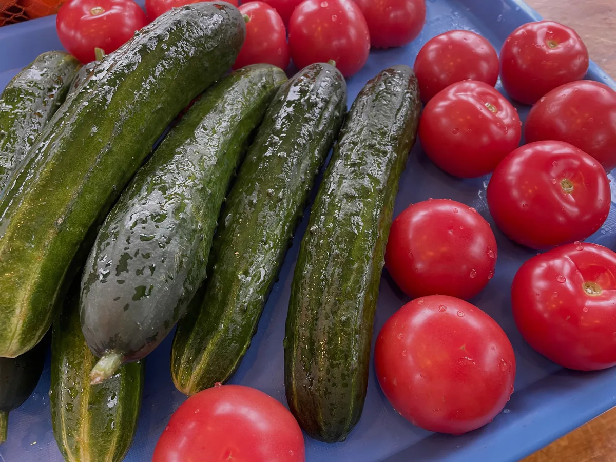 Диетолог из Челябинской области рассказала о пользе клетчатки для организма