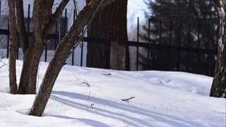 Погодные качели продолжаются: 16 марта в Татарстане днем будет тепло, ночью холодно