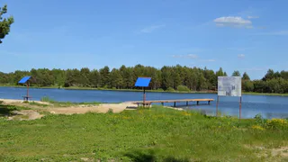 Властям пришлось провести проверку на пляже в Путятинском районе