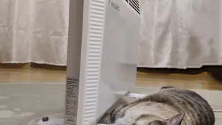 Стало известно, когда в Чебоксарах начнется отопительный сезон