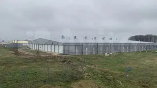 Под Рязанью выставили на продажу ферму по выращиванию грибов за 600 млн рублей