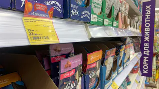 Сухари в красивых пачках: Роскачество назвало худшие марки сухого корма для собак - пожалейте питомцев