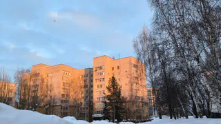 8 марта в Татарстане — снег, метель и гололедица: прогноз погоды на праздничный день