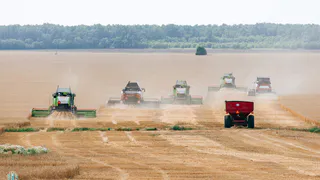 Чувашия начала уборочную кампанию с рекордными посевными площадями