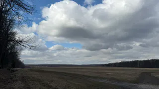 Пропавшую молодую рязанку нашли закопанной в поле