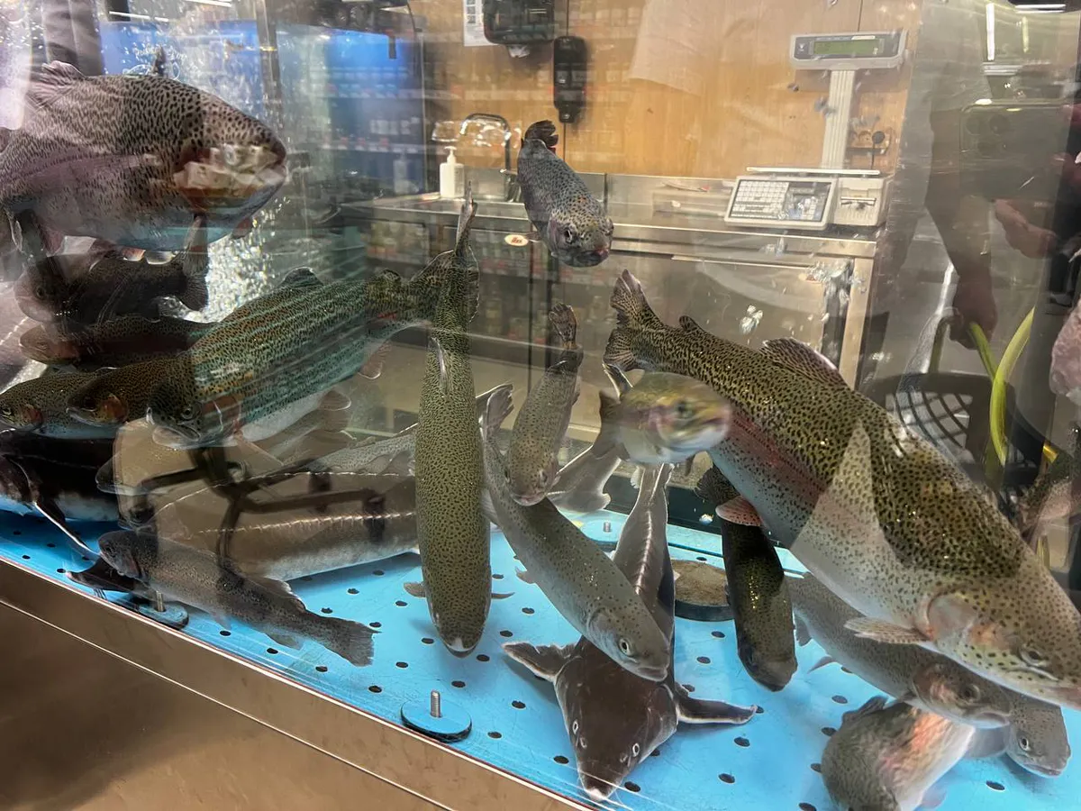 В России запретили ловить рыбу без документов: закон начнёт действовать уже в этом сезоне