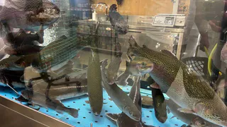 В России запретили ловить рыбу без документов: закон начнёт действовать уже в этом сезоне