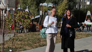 Во Владимире продолжается озеленение и благоустройство