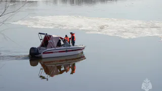 В Брянске три месяца ищут тело утонувшего зимой ребёнка