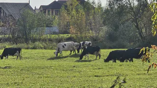 Самое мощное лето за последнее десятилетие: метеорологи рассказали, к чему готовиться россиянам
