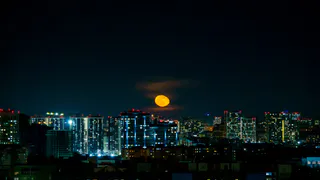 Жители Рязани засняли восход «сплющенной» луны в небе