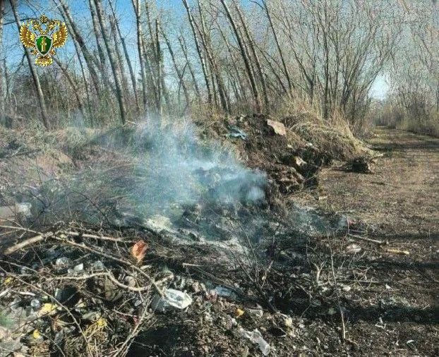 Прокуратура Магнитогорска наказала виновных за свалку