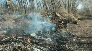 Прокуратура Магнитогорска наказала виновных за свалку