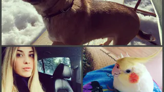 Инстаграм рязанцев: первая прогулка без зимней одежды, лучший день недели и неподражаемый Птичкин