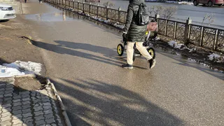 С 16 марта у пенсионеров со стажем работы 25/30 лет снимут все льготы и соцвыплаты