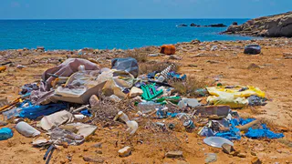 "Грязное море и грубые люди": отзывы российских туристов про курорты Черного моря