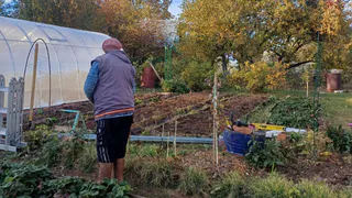 Толпа китайцев стояла у бабушкиного огорода и требовала продать им сорняк: "русское чудо", которое в России никому не нужно