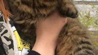 На подозреваемую в живодерстве завели уголовное дело