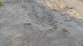 Жители жалуются на разбитую дорогу в Почепском районе Брянской области