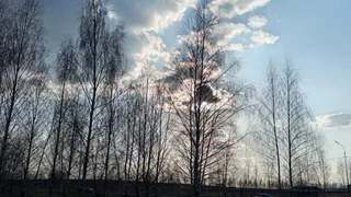 В Рязанской области в поле обнаружили труп 44-летнего мужчины