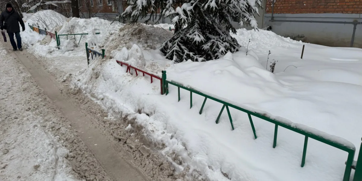 Рязанские депутаты помогли городу справиться со снегом