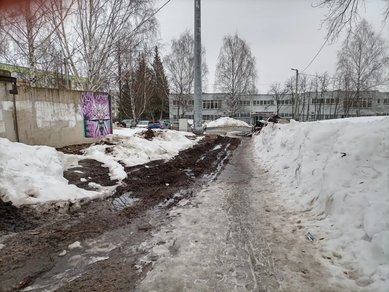 «До сада пока доберёшься, можно оказаться в травмпункте!»
