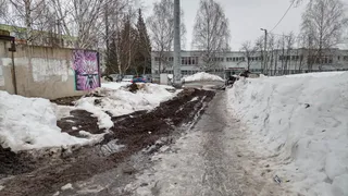  «До сада пока доберёшься, можно оказаться в травмпункте!»