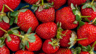 Опытные дачники пользуются такой хитростью: закапывают это под каждый куст клубники и собирают обилие ягод — совет агронома