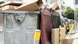 Во Владимирской области заработала горячая линия по вывозу мусора