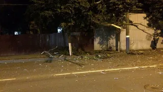 Возле площади Партизан в Брянске на дорогу упало дерево