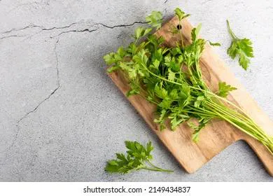 Петрушка любит морозилку