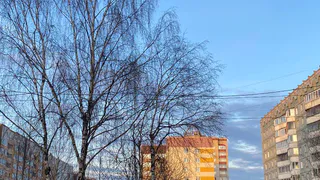 Коми встретит 23 апреля с прохладой и локальными осадками