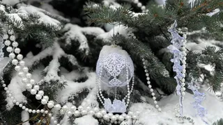 Ёлку Рязанской области представили на выставке «Россия» на ВДНХ в Москве