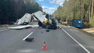 В Киржачском районе произошло смертельное ДТП с фурой